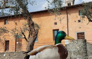 Le Allegre Comari di Ossuccio - Foto 38