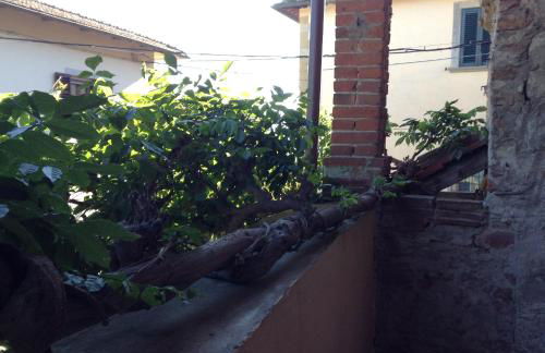 Il Glicine - Foto 34