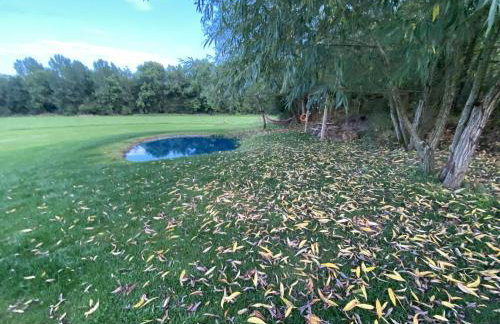 Arcadia Safari Tent in private 5 acre field - Foto 17