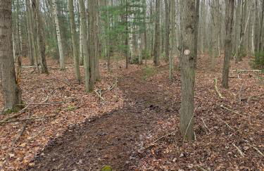 New Home with Game Room and Nature Trails in Port Huron - Photo 12