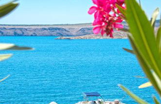 Apartmani Viktorija - Photo 1