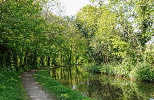 Black Cat Bach - Foto 36