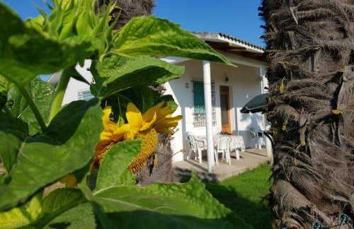 Bungalow bei Emma - Foto 3