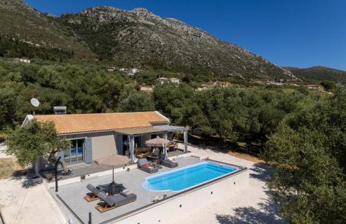 Tree of Life - Foto 1