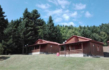 Livadaki Village - Δασικό Χωριό Λιβαδάκι - Foto 22