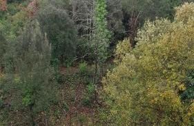 villa aranda - Photo 68