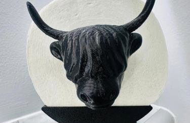 Kilmartin Court Apartments - No3 By The Sea & No2 With A View - free parking - Foto 26