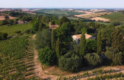 Delightful Cottage facing the vineyard - Foto 48