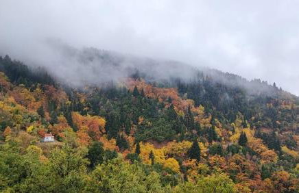 Tsigaridas Mountain Home - Foto 37