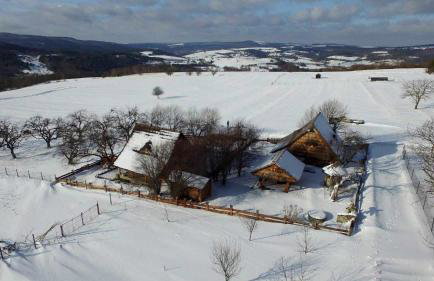 Jabłoniowy Sad Kalwaria Pacławska - Foto 5