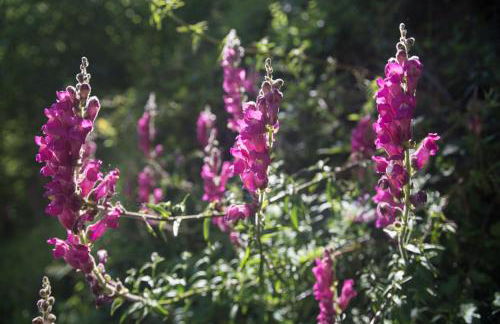 Can Criach - Photo 54