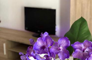 Cala puntal - Foto 22