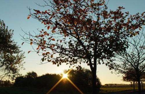 Haus Möweninsel - Foto 12
