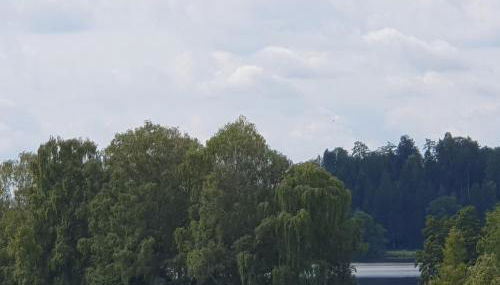 Traumhafte neue Dachterrassenwohnung am Soyener See - Foto 3