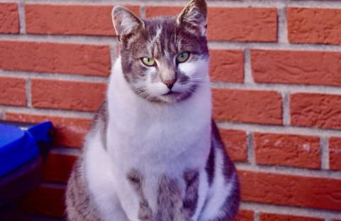 Bed and Bike Rheine - Foto 17