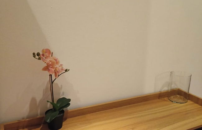 Residenza Ariosto - Foto 2