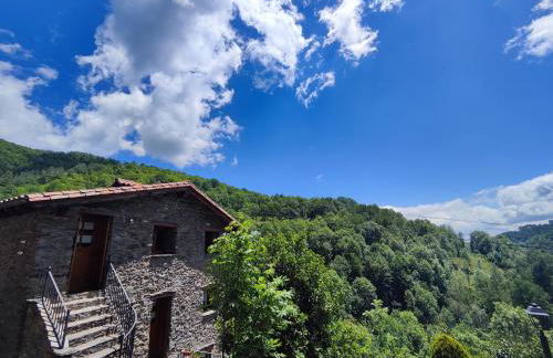 Allotjaments Cal Llarg - Foto 37