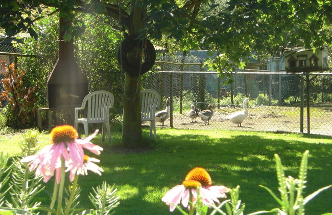 Holiday Home in Bergen op Zoom With Garden - Foto 37