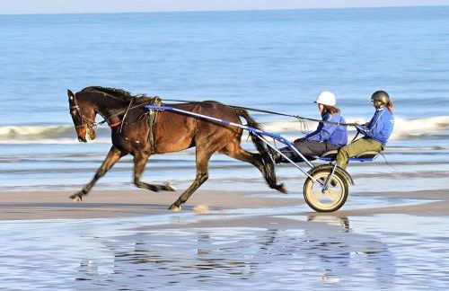 Beau studio accès plage, piscine, jardin, tennis, vélos, Netflix - Foto 24
