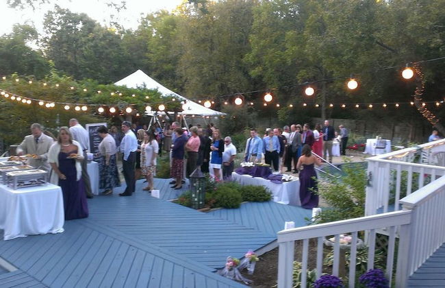 7 Bedroom Manor near Appomattox & Lynchburg - Photo 39