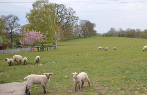 2 Bed in Yeovil oc-82694 - Foto 3