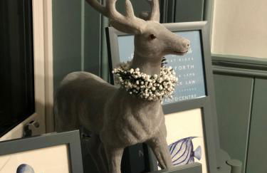 Next To The Beach - North Berwick - Foto 27