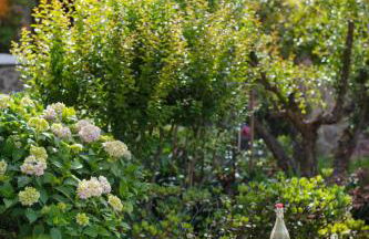 Casa Nobile - Luxury Villa in Val D'Orcia - Authentic Tuscany Living - Foto 22