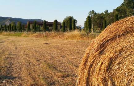 il Chiassetto Agriturismo No Kids - Foto 53