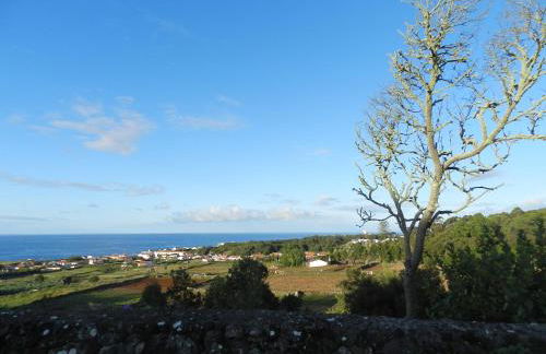 Vale Dos Milhafres - Photo 62