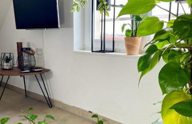 Ahaus: Stadtoase mit Terrasse & privater Garage - Foto 4