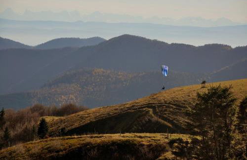 Elegant Appartment in Niderviller Near Forest, France - Foto 56