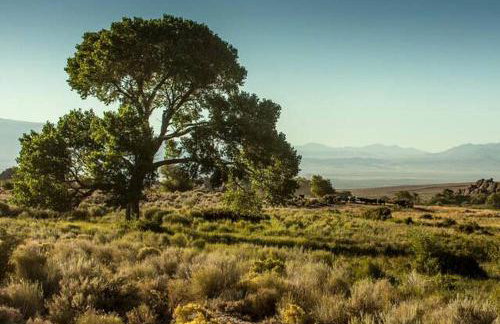 Amazing Lone Pine Cabin for Glamping in California - Foto 21