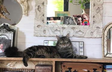 Maison familiale, coeur de ville & nature - Foto 31