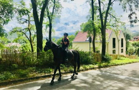 Burgstrasse Apartment Ost mit Garten und Sauna - Foto 7