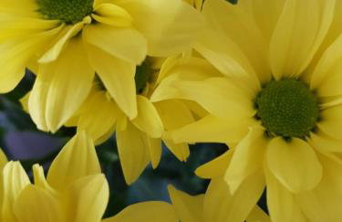 Cyrus House - Foto 58