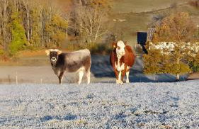 Familienferienhof Berger - Foto 18