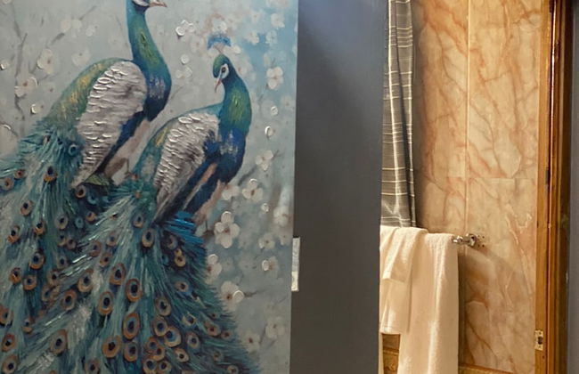 Montego Bay Ironshore Luxury Studios - Photo 2