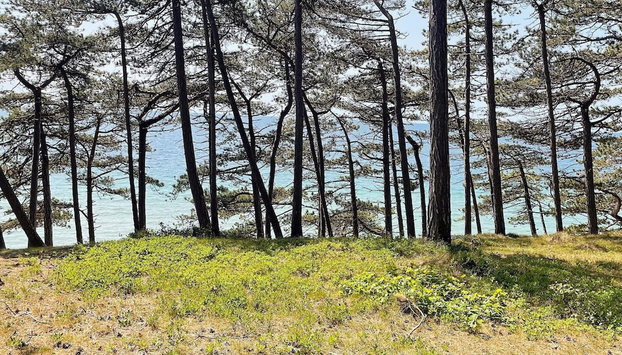 4 Person Holiday Home in Ronne - Foto 5, Baño