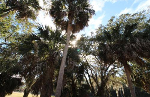 Edisto on my Mind - Foto 26