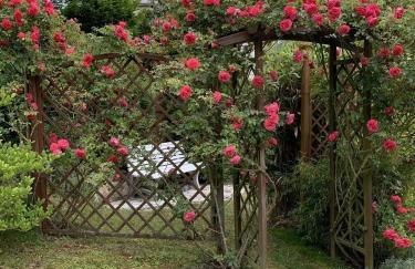 Ferienwohnung Weitblick - Photo 26