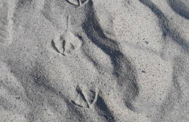 Villa Nicole - STELLA MARINA APARTMENT - Foto 12