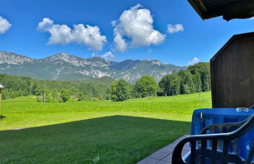 Pension Loiplstüberl - Foto 9