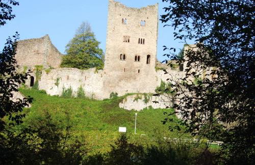 Ferienhaus Mayer in der sonnigen Ortenau - Foto 32