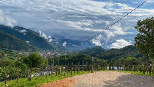 Casa Pracol - Foto 4