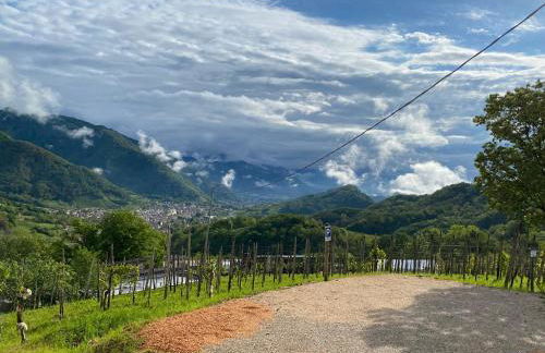 Casa Pracol - Photo 7