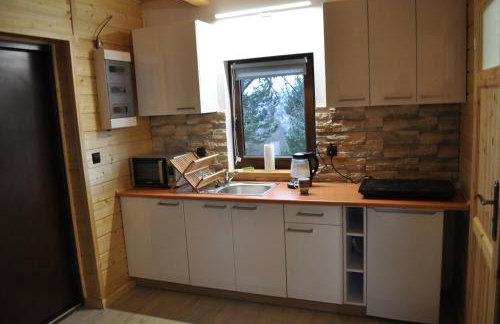 U Kazika w górach - Foto 27