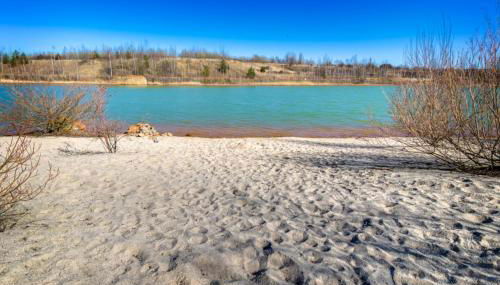 LAGOVIDA Dünenhaus Comfort Familia b am Störmthaler See - Foto 3