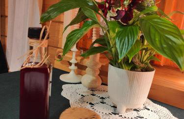 Sielanka, wyjątkowy dom, jacuzzi - Foto 30