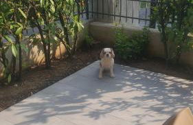 La Casa di Perla BILOCALE A 6 Kilometri da SALO' - Foto 22