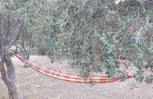 Ακροδεα - Photo 25